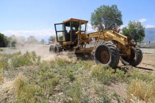 Erzincan’da Otlar Temizleniyor