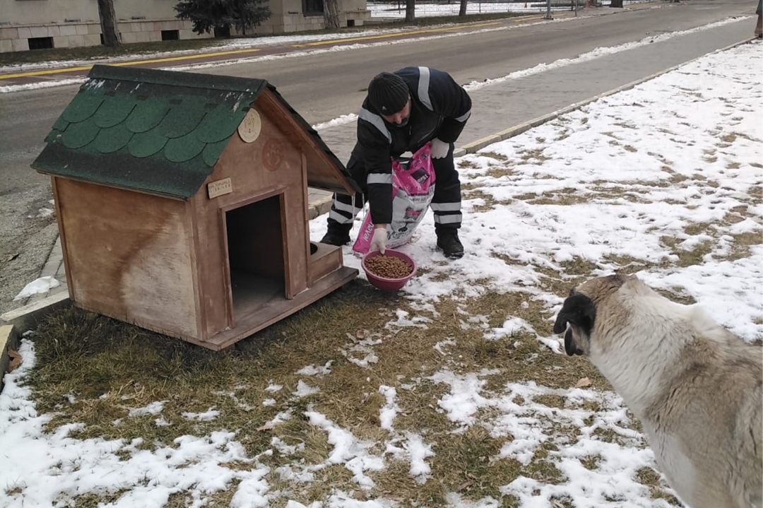 Soğuktan Etkilenen Hayvanlara Yem Bırakıldı