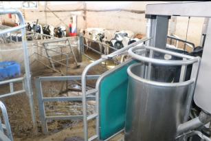 Erzincan’a ilk kez sağım robotu geldi