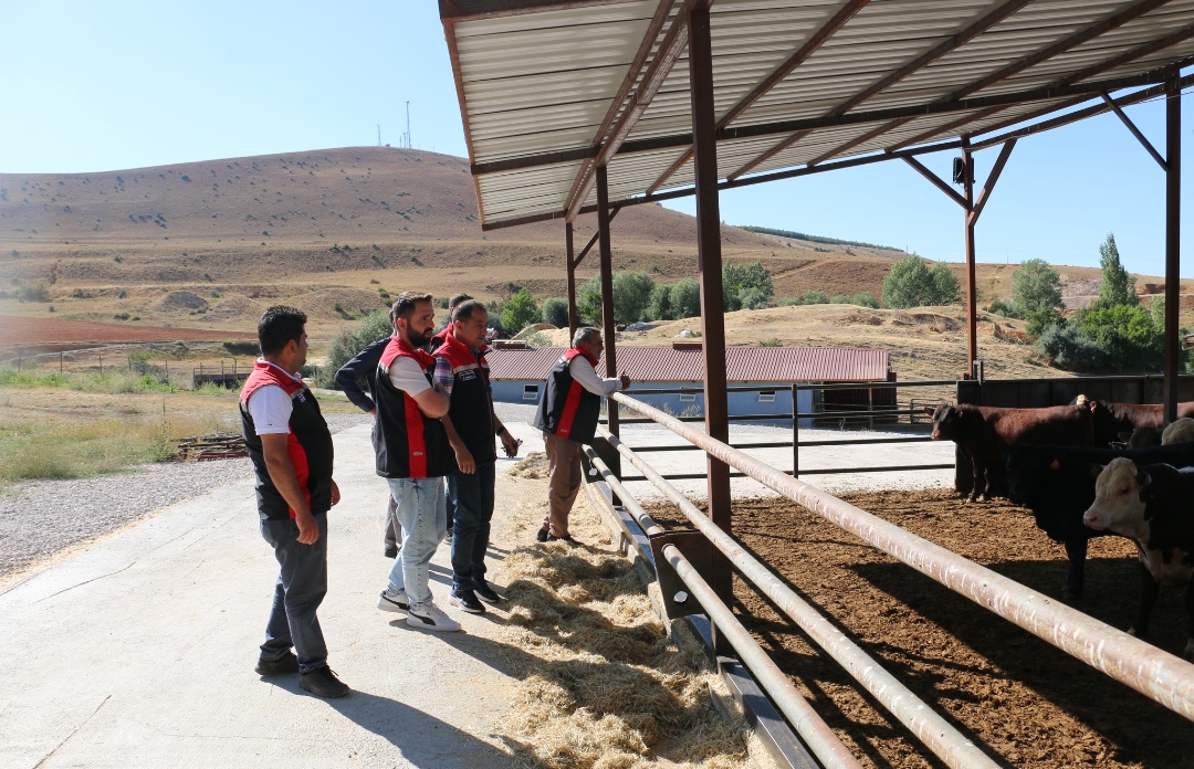 17 Bin Baş Kapasiteli Besi OSB Yatırımı Hayata Geçiyor