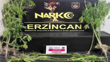 Zehir Tacirlerine Geçit Yok