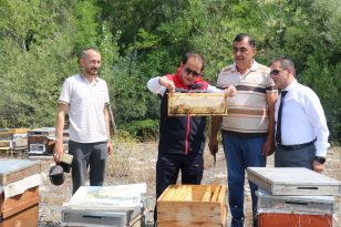 Balımız coğrafi işaret ile tescillendi