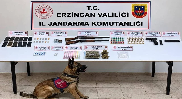 erzincan-torbacı