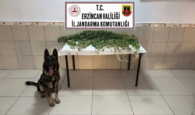 Uyuşturucuya Geçit Yok